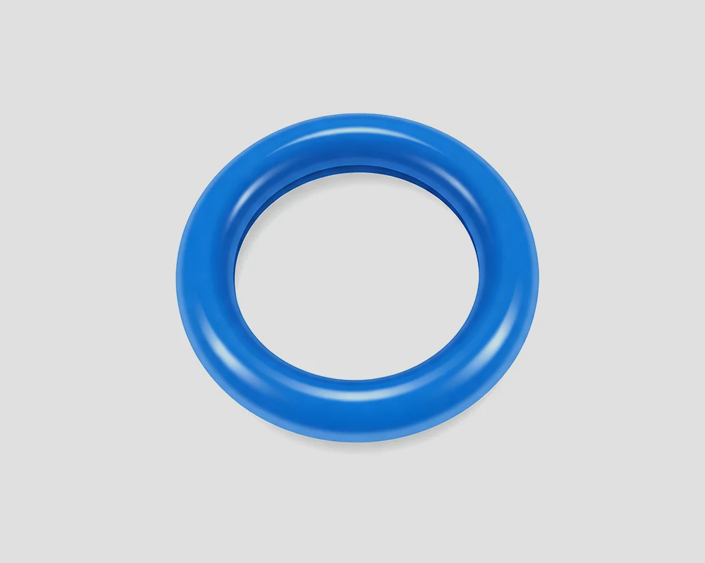 O-ring e giunti